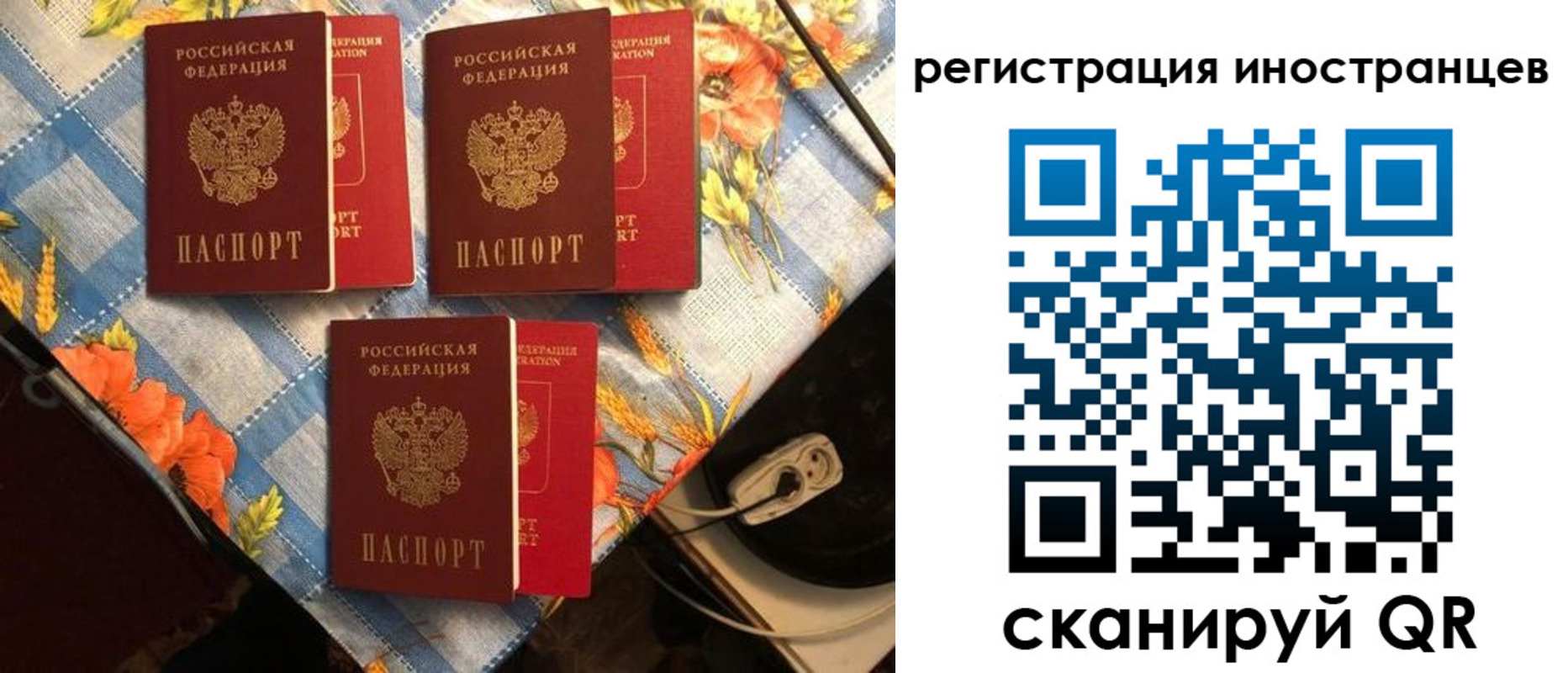 прописка поиск в Новочеркасске